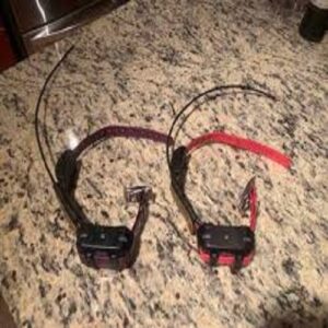 Buy 2 USED Garmin TT15 Collars